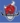Logo de Stabulois Etalle
